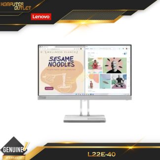 Lenovo L22e-40 Full HD Monitor
